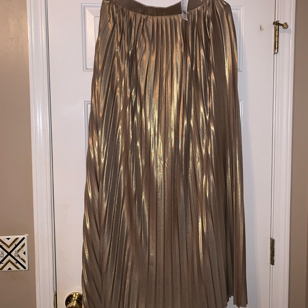 New York and Co Pleated Floor Length Maxi Skirt